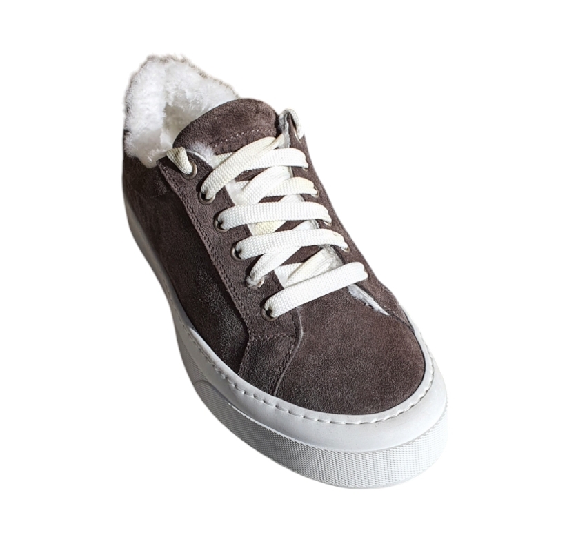 2864 crosta kaleido col.528